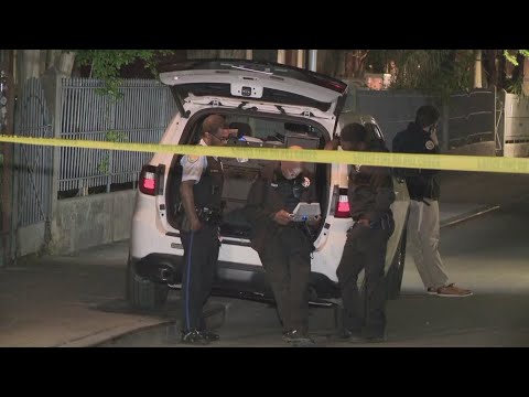 Two men dead, one in custody after double homicide in New Orleans - YouTube