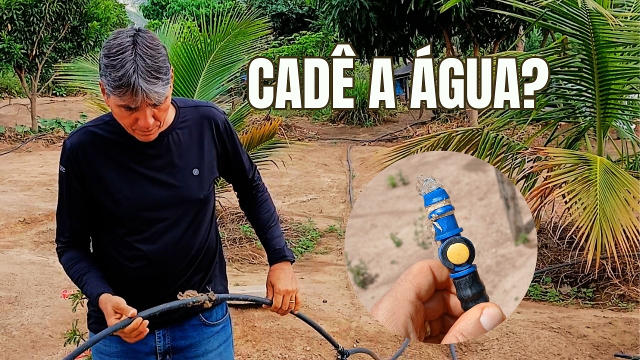 MISTÉRIO DA ÁGUA NO SÍTIO