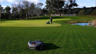 First Mow On The Ryegrass + Urea