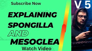 Explaining Spongilla and Mesoglea V 5 gilla