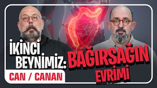 İkinci Beynimiz Bağırsağın Evrimi I Önce Can Sonra Canan 332.Bölüm
