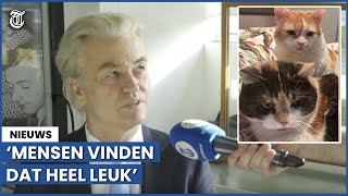 Geert Wilders openhartig over zijn katten: ‘Hebben ze moeten scheiden’