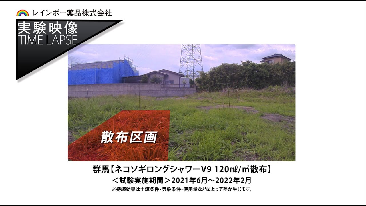 ネコソギ ロングシャワーV9 | 商品 | レインボー薬品株式会社