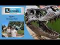 Ogden Dinosaur Park Utah Hidden Gem Family Fun Attractions and Exhibits