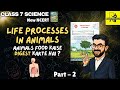 Life Processes in Animals | Class 7 Science 🧬 | PART 2 | NEW NCERT (CURIOSITY)