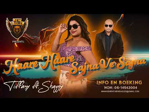 Voor haar - Claudia de Breij (Cover by Evy)