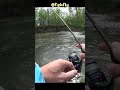 Chub fishing on the river!
