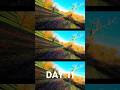Day 11 - Tempo Run through trees with my DJI Avata 2