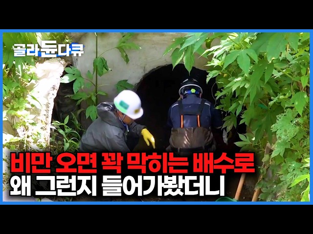 '장마철이면 막혀버리는 땅속 물길 직접 들어가봤더니｜하수도 준설｜맨홀｜극한직업｜골라듄다큐'