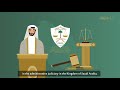 موشن جرافيك المحكمة الإدارية العليا بـ ديوان المظالم