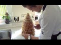 Croquembouche