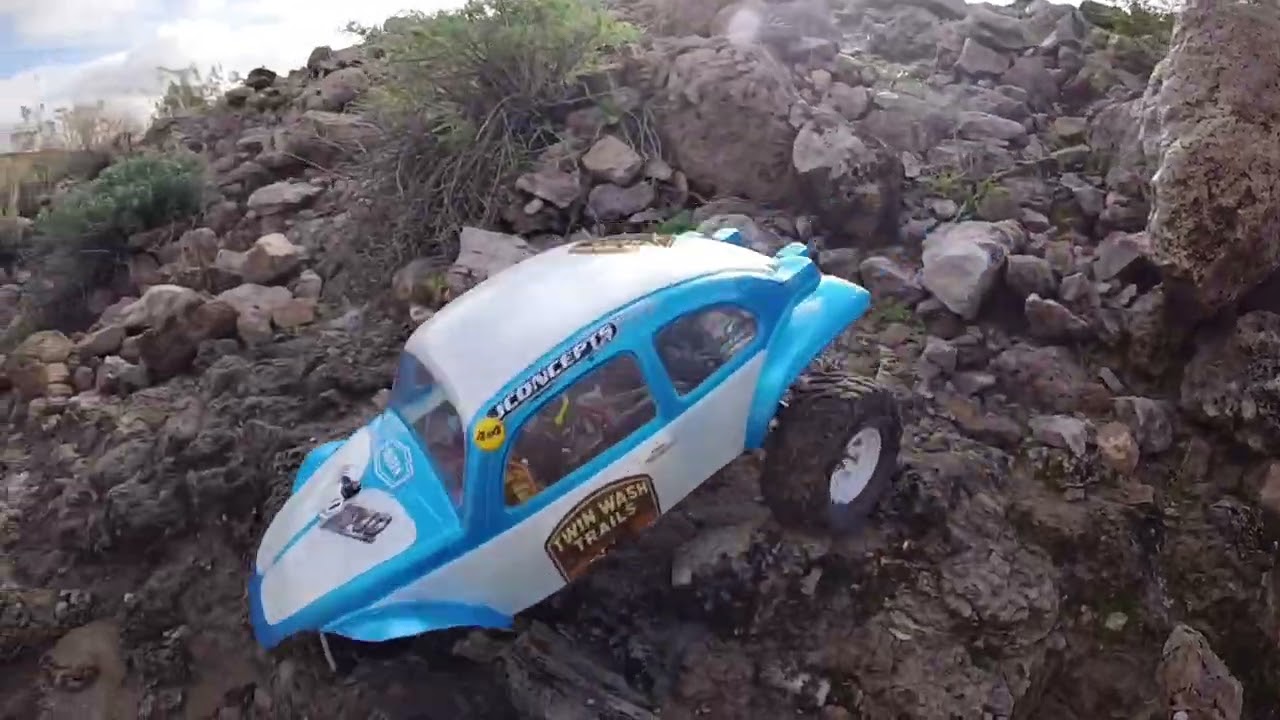 Her name was forsaken, her back was hairy, but she was mine. Reefs Rc Xp10 founders edition 