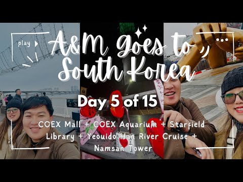 A&M Goes to South Korea! 🇰🇷 | DIY Day 5 of 15 - Locked our love locks in Namsan Tower! | A&M Vlogs