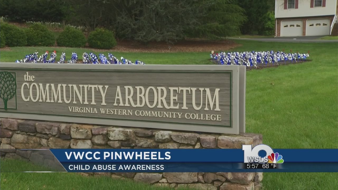 VWCC plants pinwheels for child abuse awareness