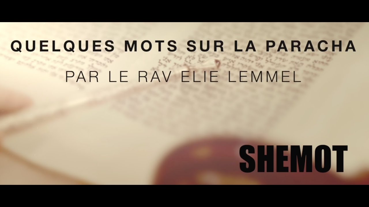 Vivre et ressentir ?! Rav Élie Lemmel - Parasha Shemot