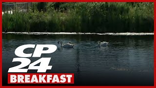 After 18 years in the making, Toronto’s newest waterfront park has opened Net Worth