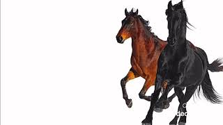Old Town Road [sped up]