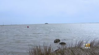 Overall Chesapeake Bay Health Remains At D+ Grade, State Of The Bay Report Says
