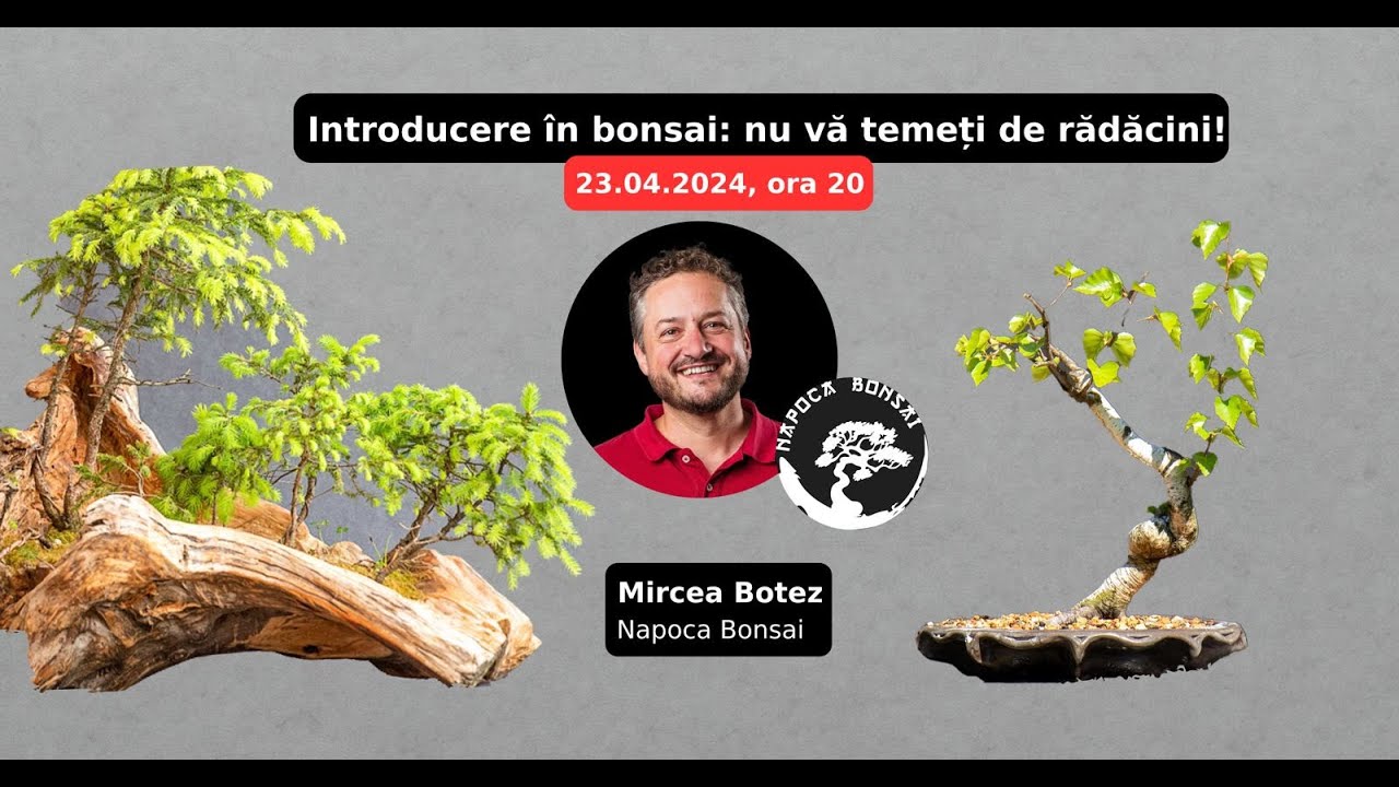 Introducere în bonsai: nu vă temeți de rădăcini!