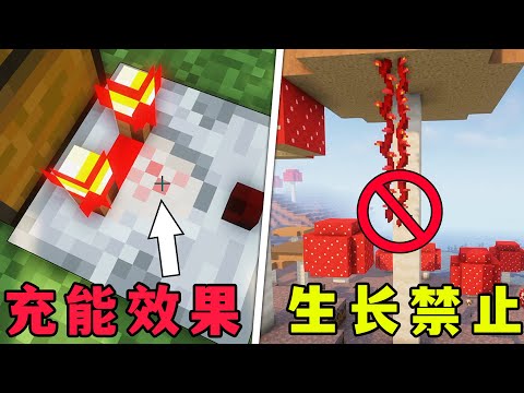 我的世界：剪刀可以惡搞隊友？你可能沒注意到的7個小細節