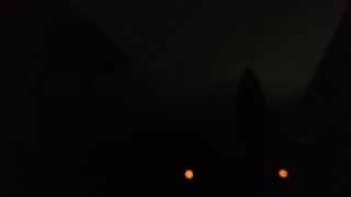 dark night natural best sound is live!