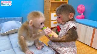 Baby monkey Relax Videos Animails 🎶 January Bossa Nova Instrumental and Relaxing Jazz Cafe Music screenshot 2