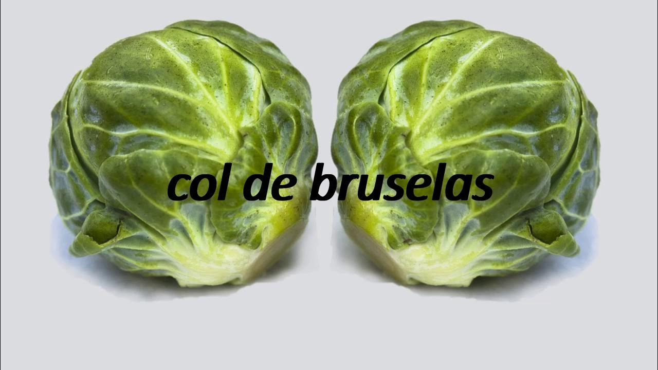 How to say brussel sprout in Spanish? col de bruselas YouTube