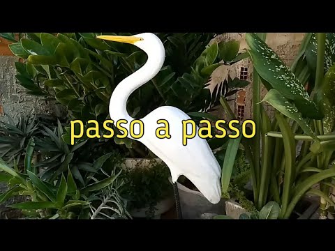 Vídeo: Geses no jardim - Controlando os gansos no jardim de casa