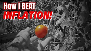 How to beat INFLATION by growing YOUR OWN VEGGIES!  |  START NOW!