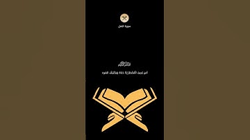 #ان_الرزق_لله #تلاوة_خاشعة