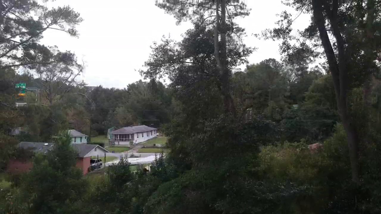 Stuck in the trees🤬😤🤣