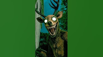 99 Nachten in het Bos HERTEN IN HET ECHT 🦌