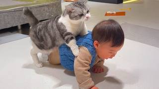 When Your Kid Was Babysat By a Gentle Cat!😘😸 screenshot 3