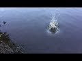 Middle of video