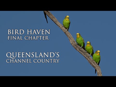 Discover OUTBACK QUEENSLAND'S Hidden Bird Sanctuary. Free 4K Documentary.