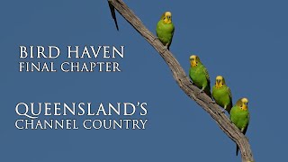 Discover OUTBACK QUEENSLANDS Hidden Bird Sanctuary. Free 4K Documentary.