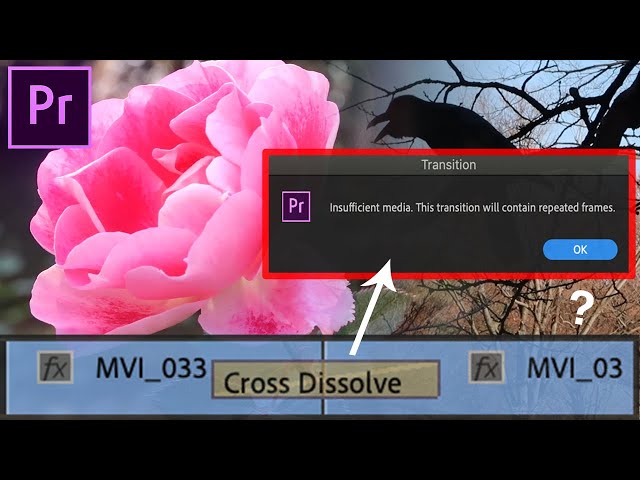 Adobe Premiere Pro: Transition Insufficient Media Repeated Frames Error Explained