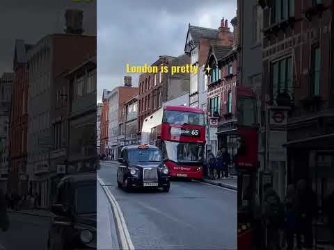 Video: Apopkan kaupungin vierailijaopas