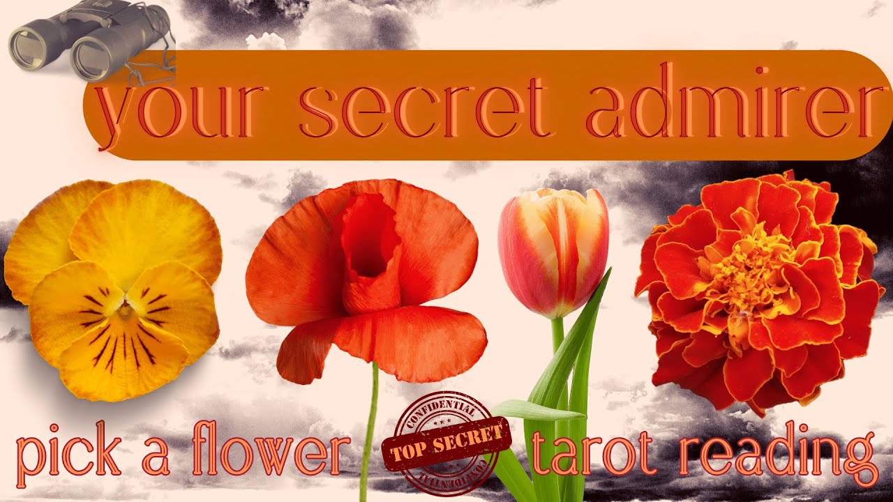 Who Has A Secret Crush On You? 🌹| Pick A Card Tarot Love Reading | Twin Flame | Soulmate | Timeless