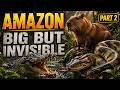 Giant but Invisible – Anaconda, Caiman & Capybara in the Amazon
