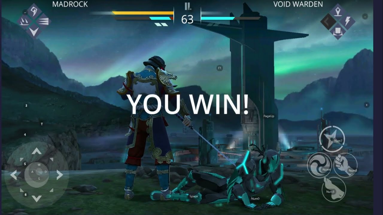 Defeat Void Warden in Shadow Fight 3