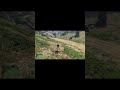 This FiveM Hunting Script Changes Everything…