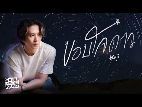 ขอบใจดาว (OST.ลูกผู้ชายหัวใจเพชร) | LEOJI [Official Lyrics Video]