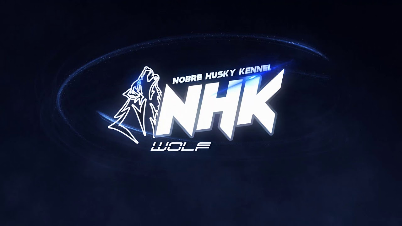 NHK YouTube