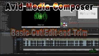 Media Composer - Basic Cut/Add Edit and Trim screenshot 3