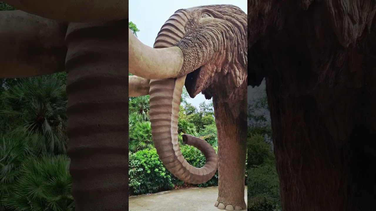 Берегите мамонта и себя тоже! 