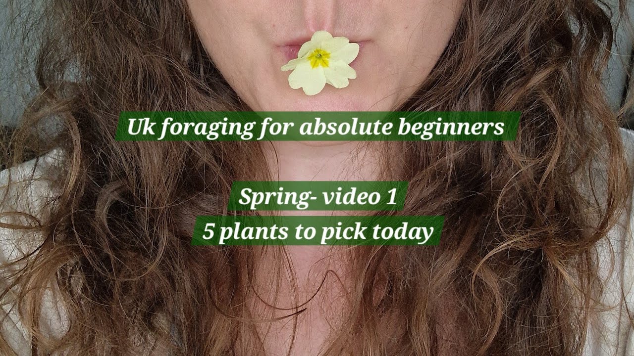 Uk spring foraging for absolute beginners- video 1/3- 5 wild foods to pick today!