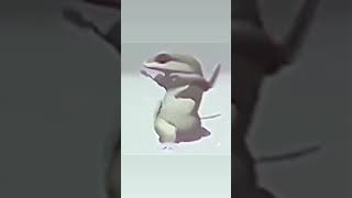 Funny Vector Edit #shorts #funny #vector #edit #lizrad #dancing #meme # #hindi #india template