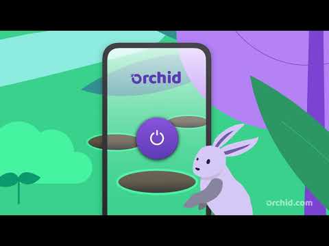 Orchid Overview