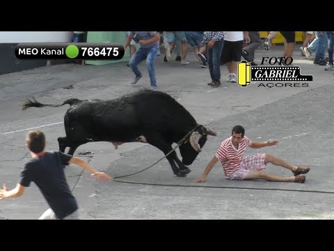 Tourada à corda no Porto de São Mateus, São Mateus, 17 de agosto de 2019